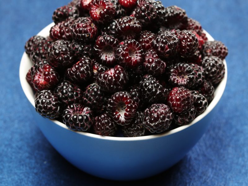 Eat this summer berry to soothe skin rashes Easy Health Options®