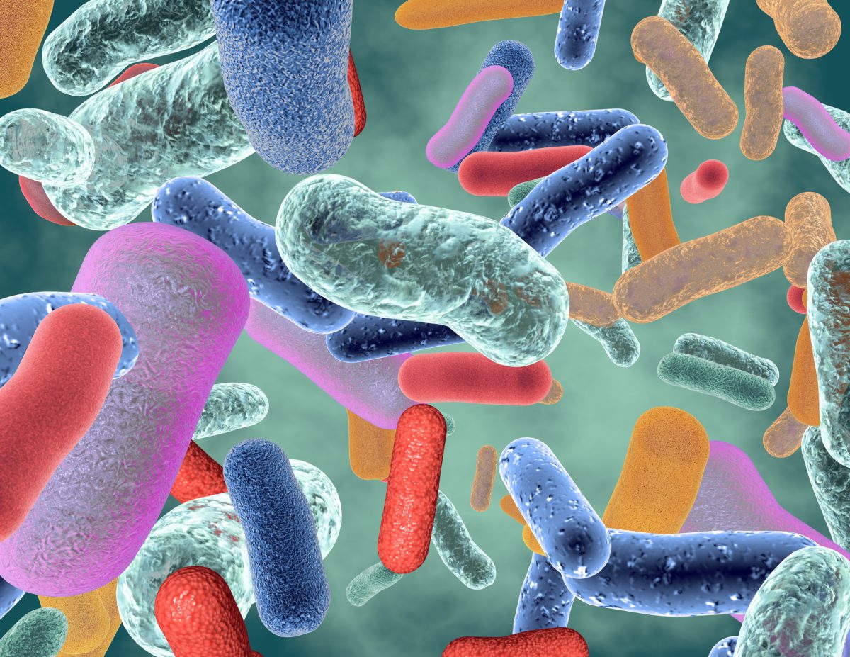 gut-bacteria-linked-to-high-blood-pressure-and-more-than-2-dozen-other