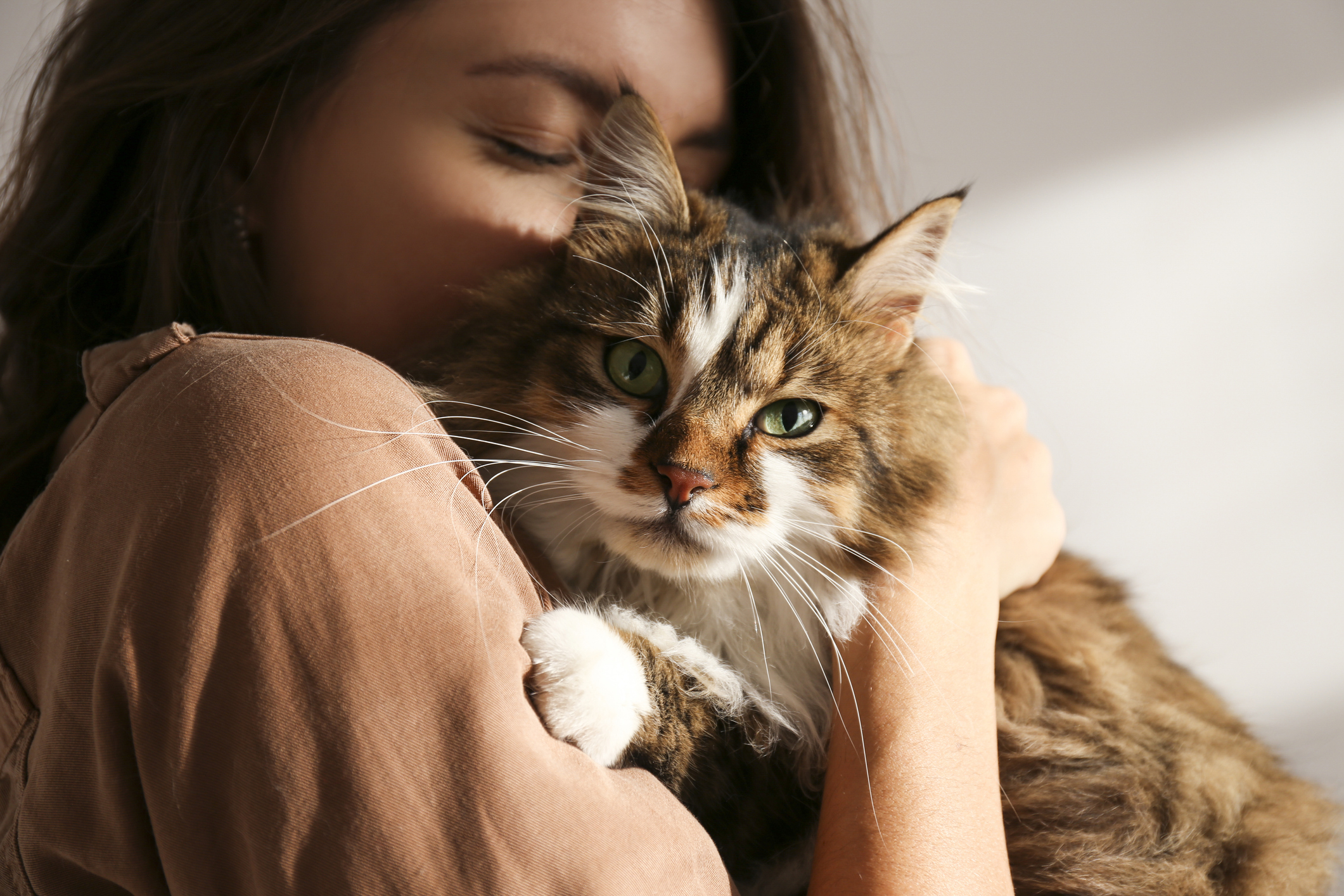 Use this ‘sign’ language to have a healthier relationship with your cat