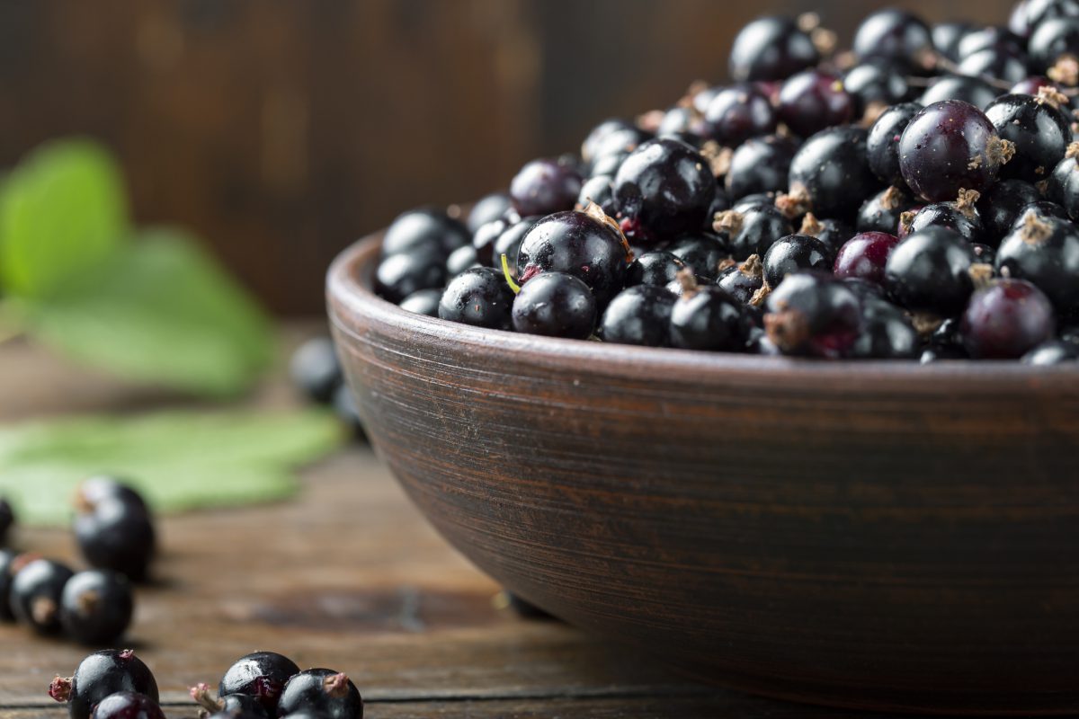 Black_currant