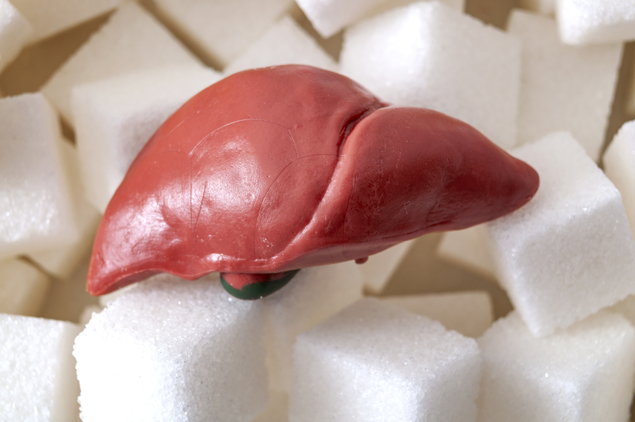 Sneaky added sugars double your liver’s fat production