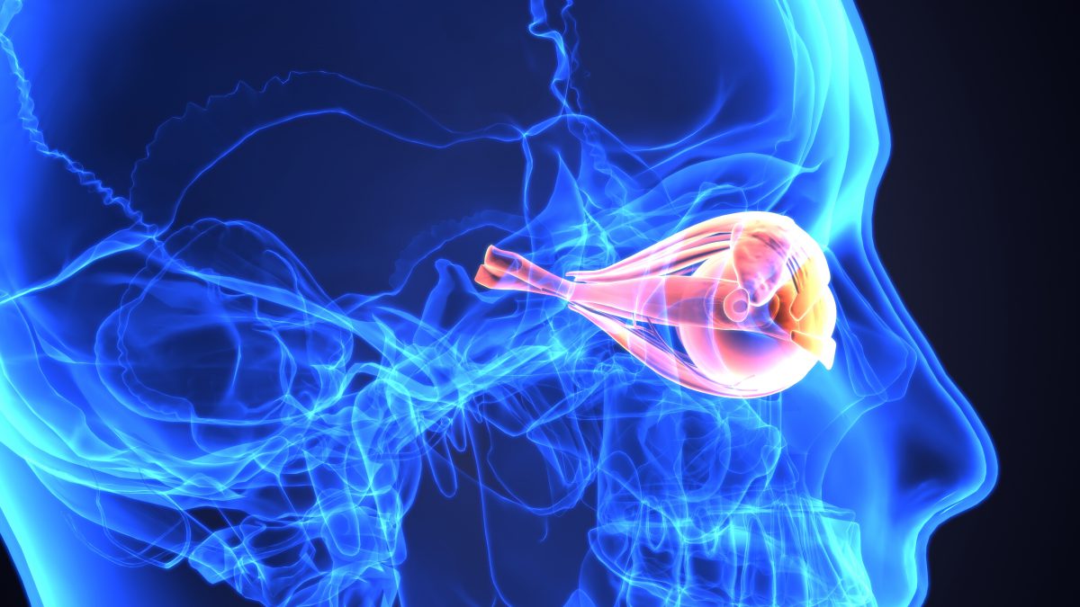 Calcium, retinal blood flow and the connection to glaucoma
