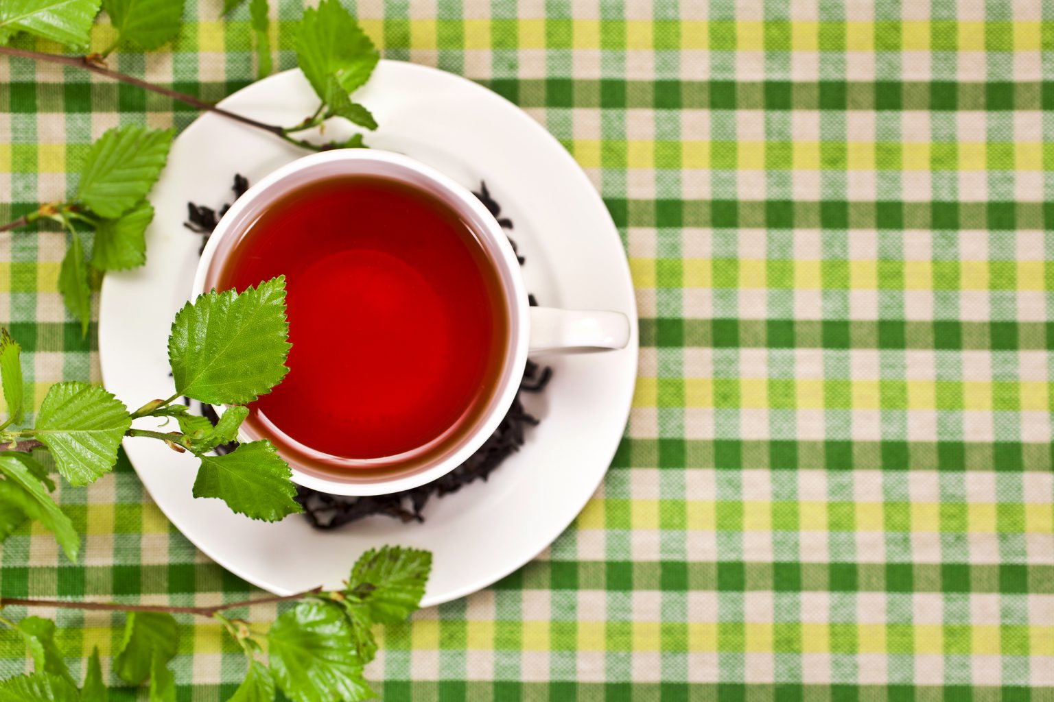 These Are The Reasons You Should Be Drinking Tea - Easy Health Options®