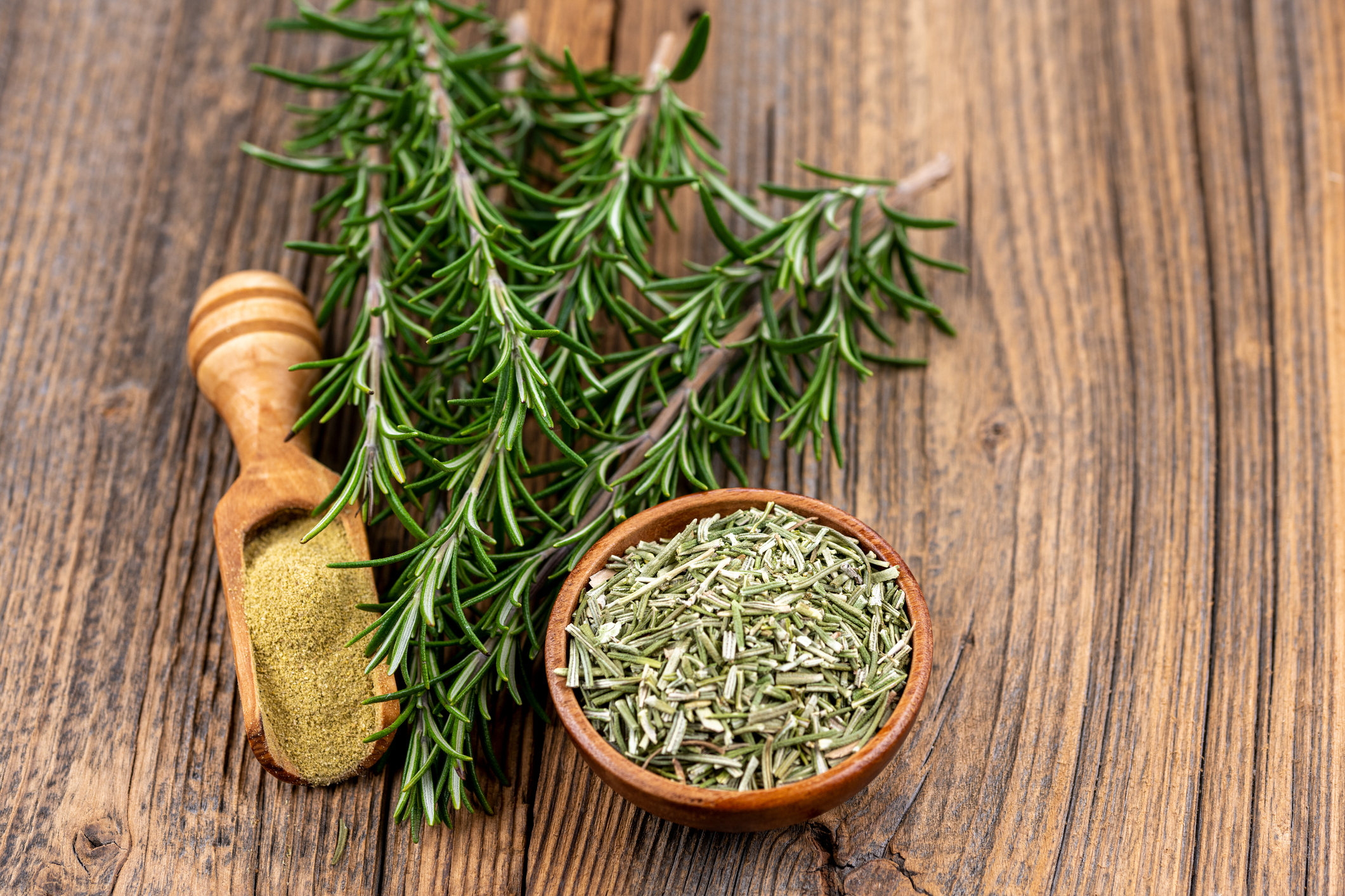 Rosemary: Old-fashioned herb for modern-day ailments