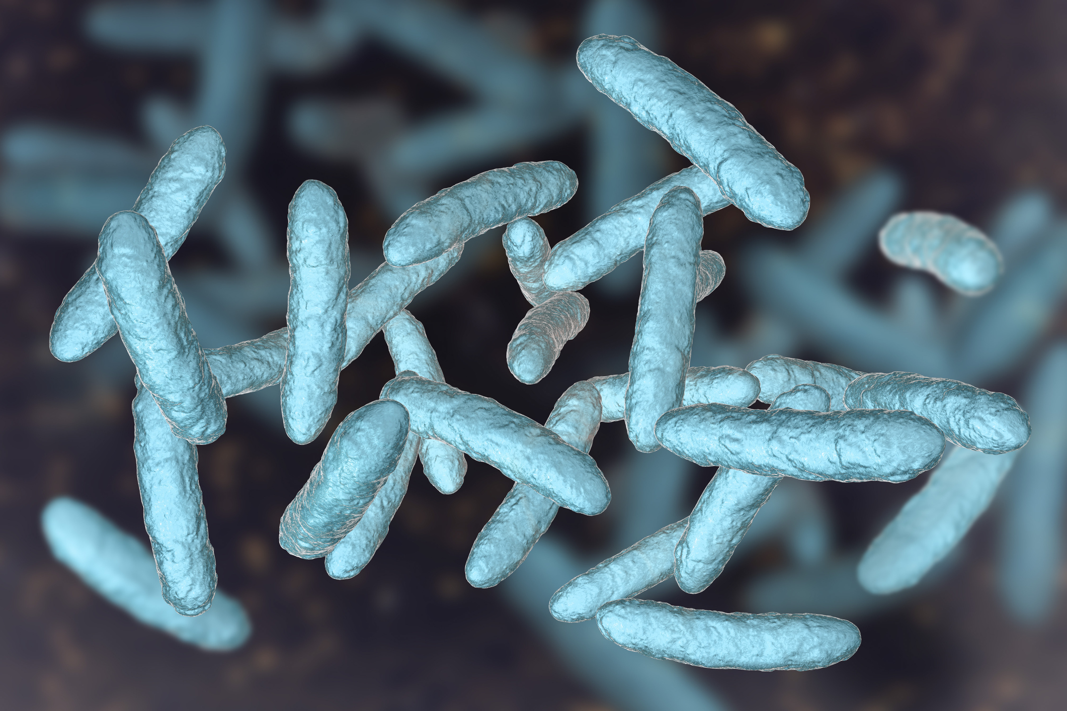 The microbe shortage spreading disease