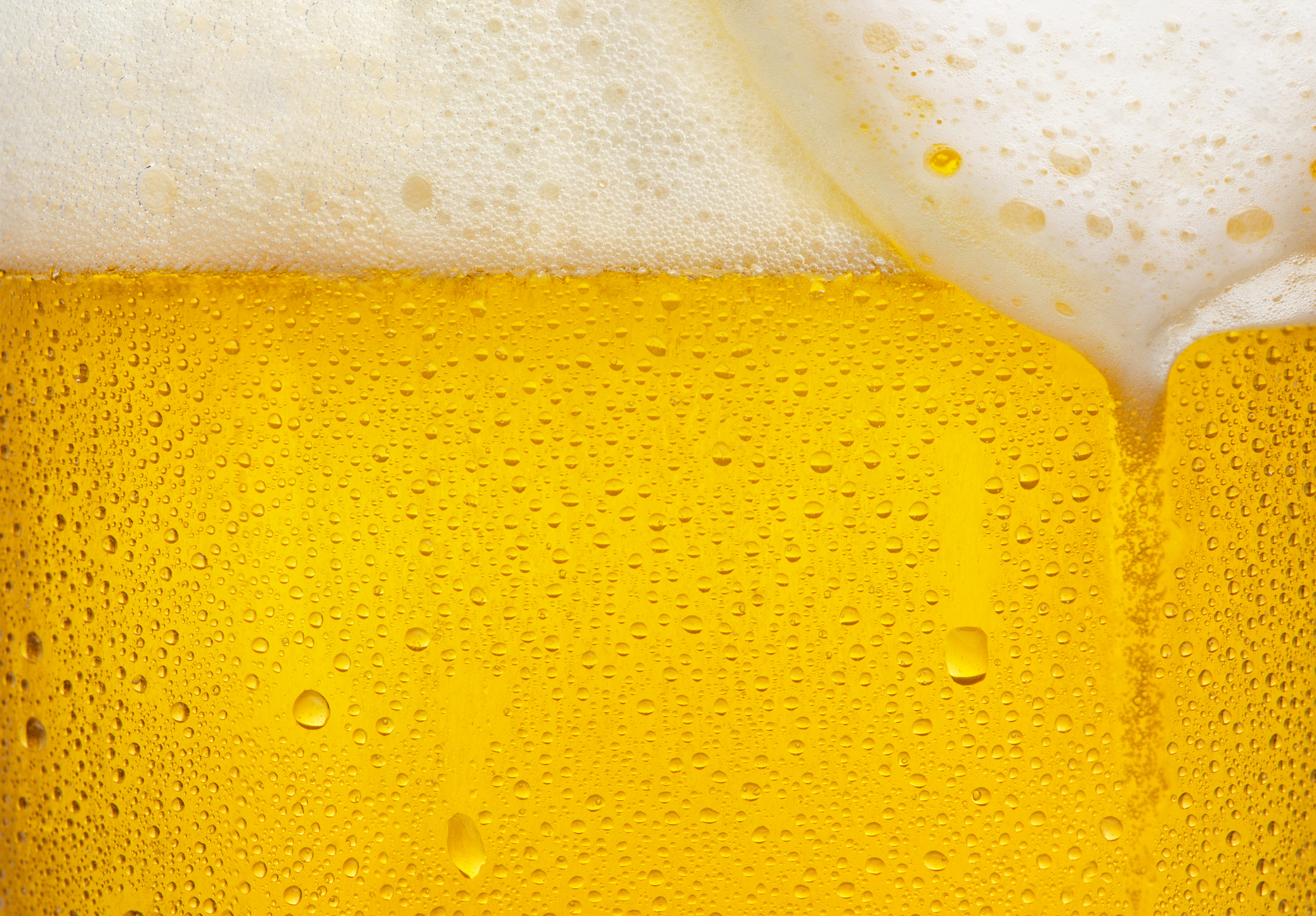 A lager a day keeps your gut flora robust