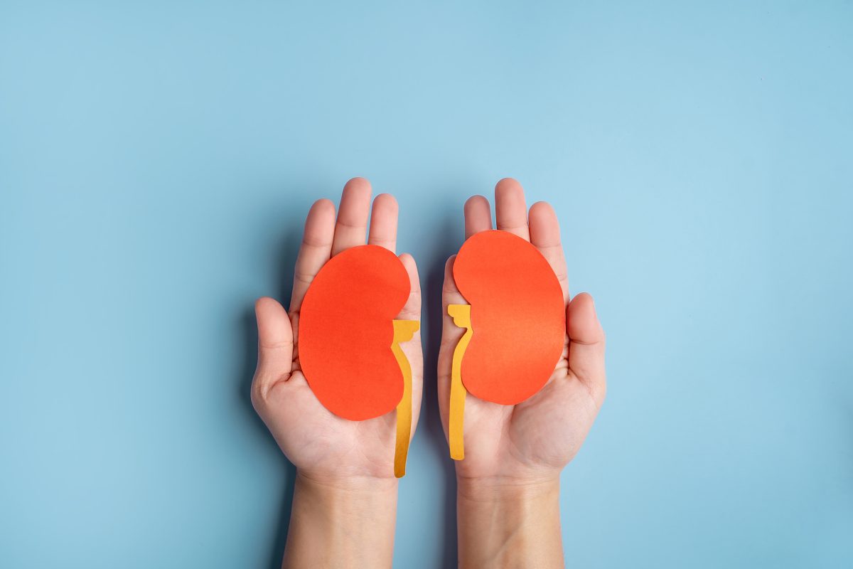 Do Statins Hurt Kidneys Health Living 101 Do statins hurt kidneys health living 101