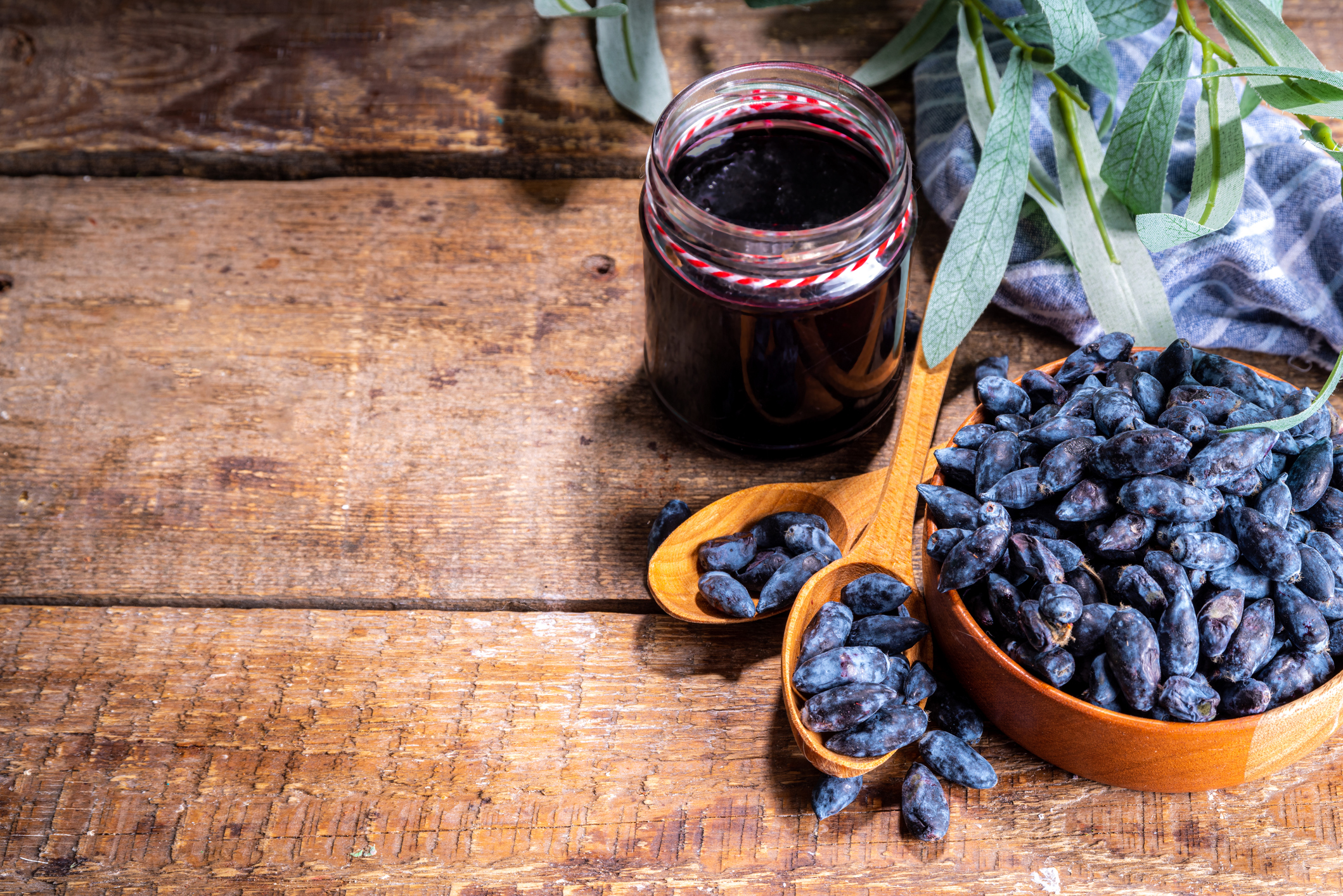 8 little-known berries for fierce free radical protection
