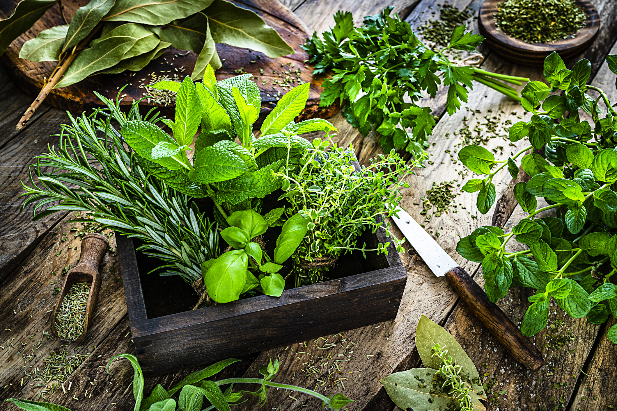 Sprinkle these spices and herbs to build a better brain