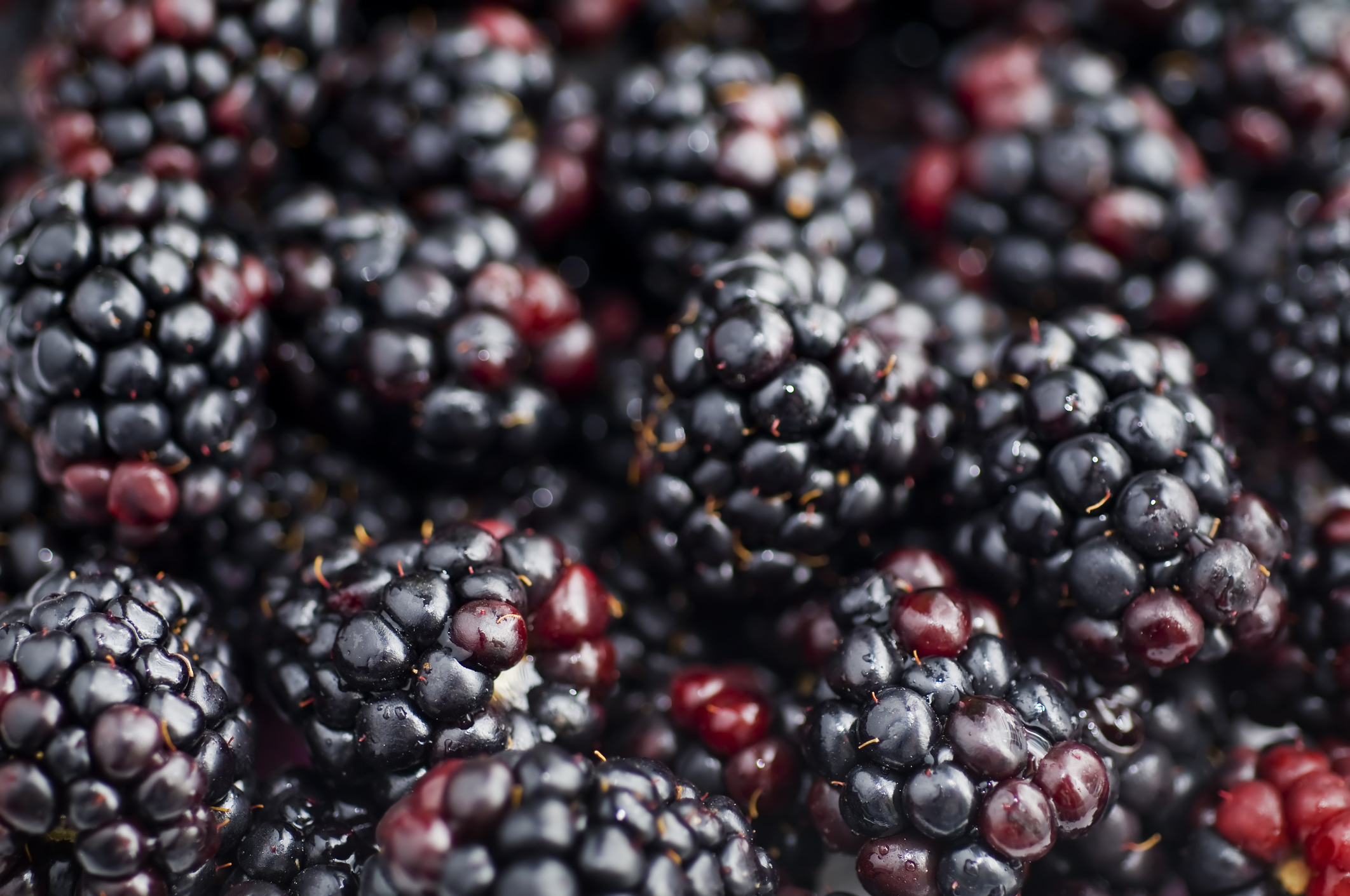 In the kitchen with Kelley: Blackberry smoothie