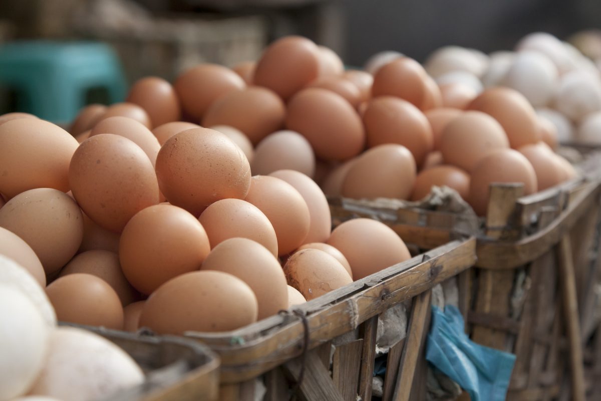 In the kitchen with Kelley: Eggs-cellent breakfast casserole