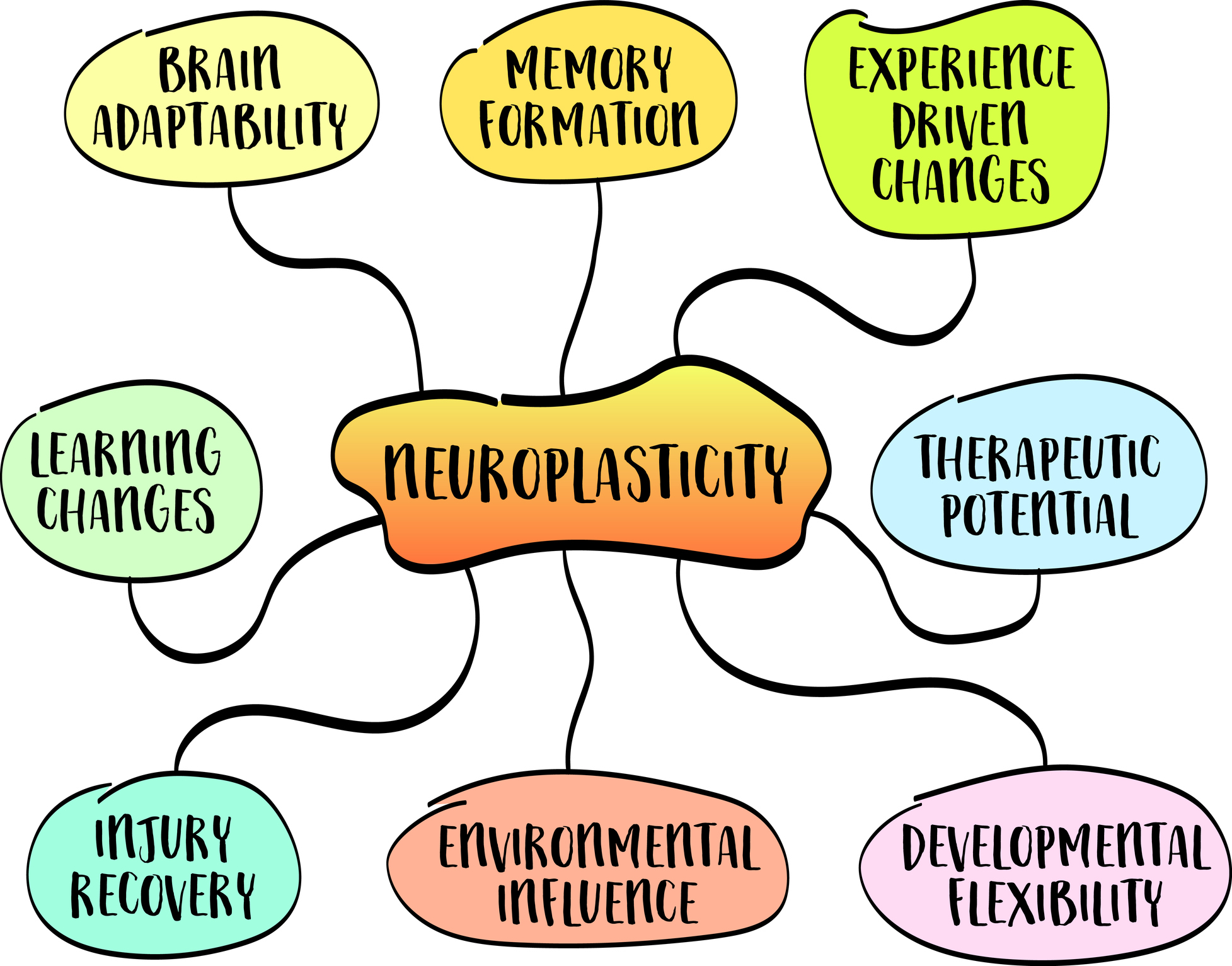 How to speed up your amazing “plastic” brain