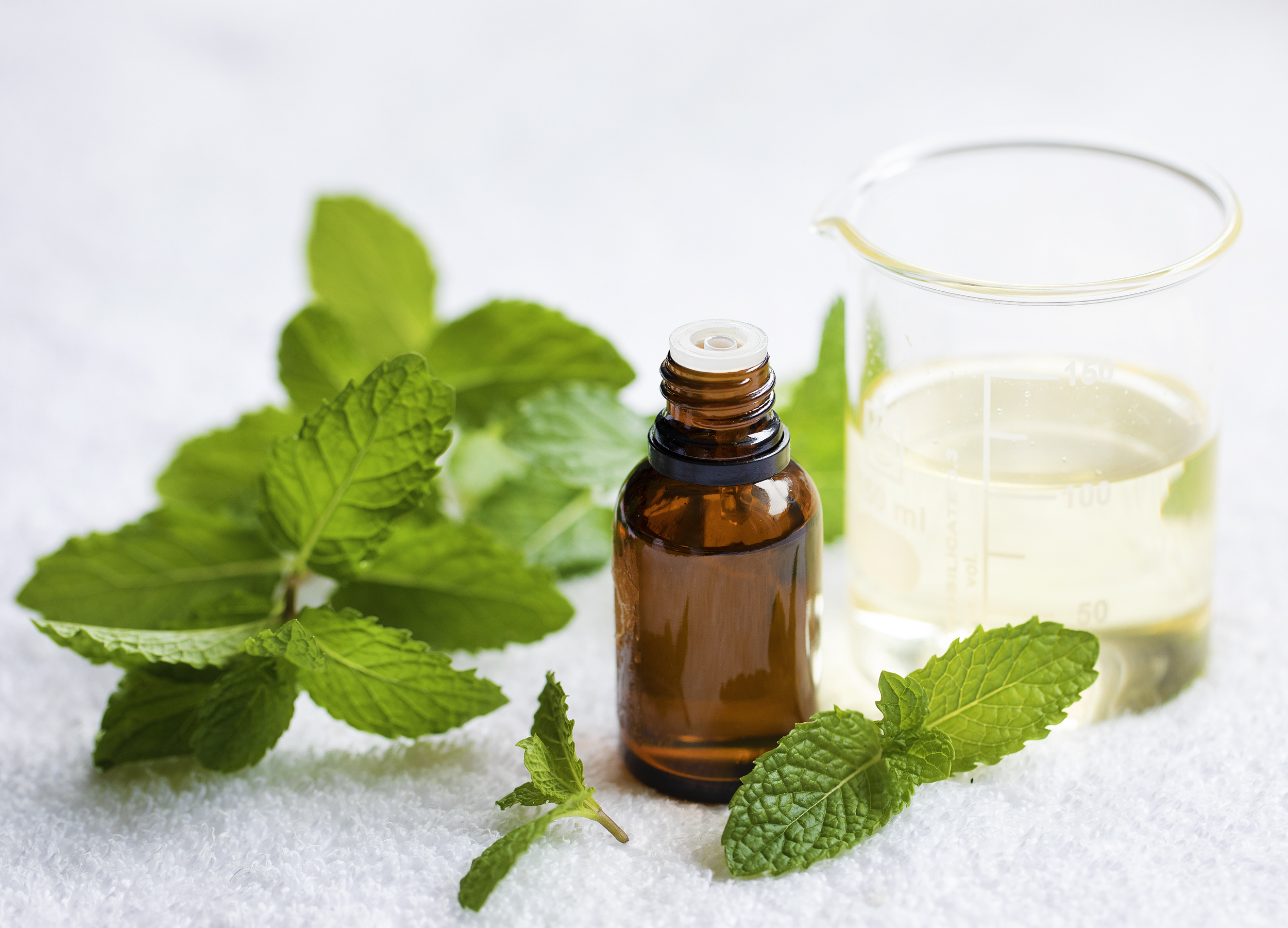 Do you have peppermint oil in your medicine cabinet?