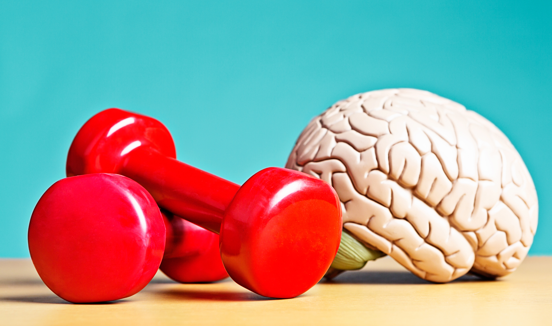 Exercise renews the brain’s plaque-fighting cells