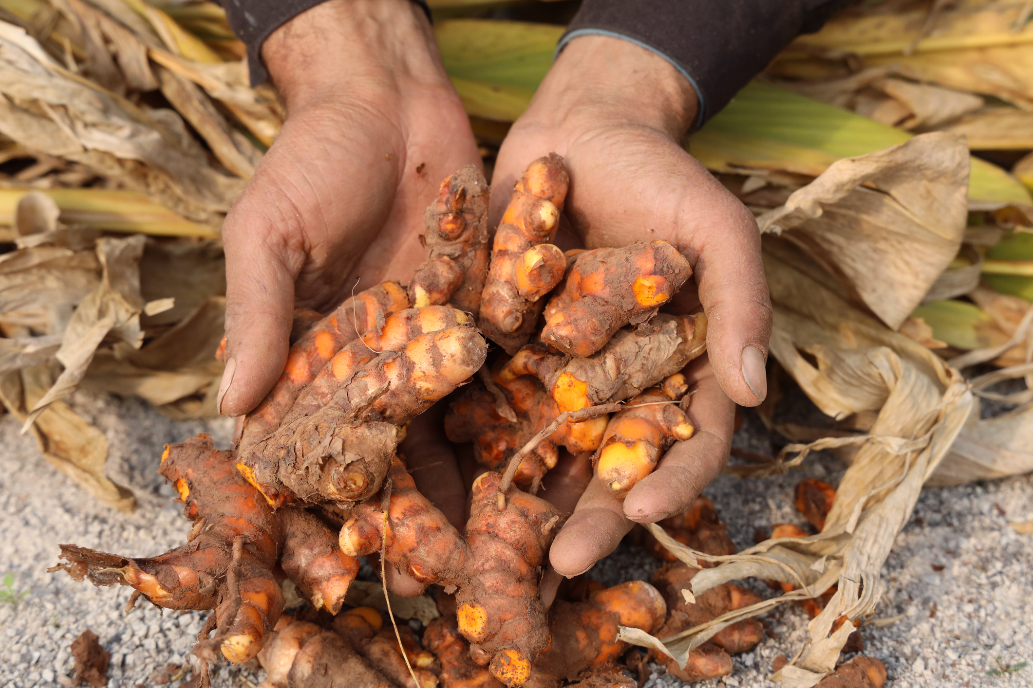 Three super spices that knock out pain