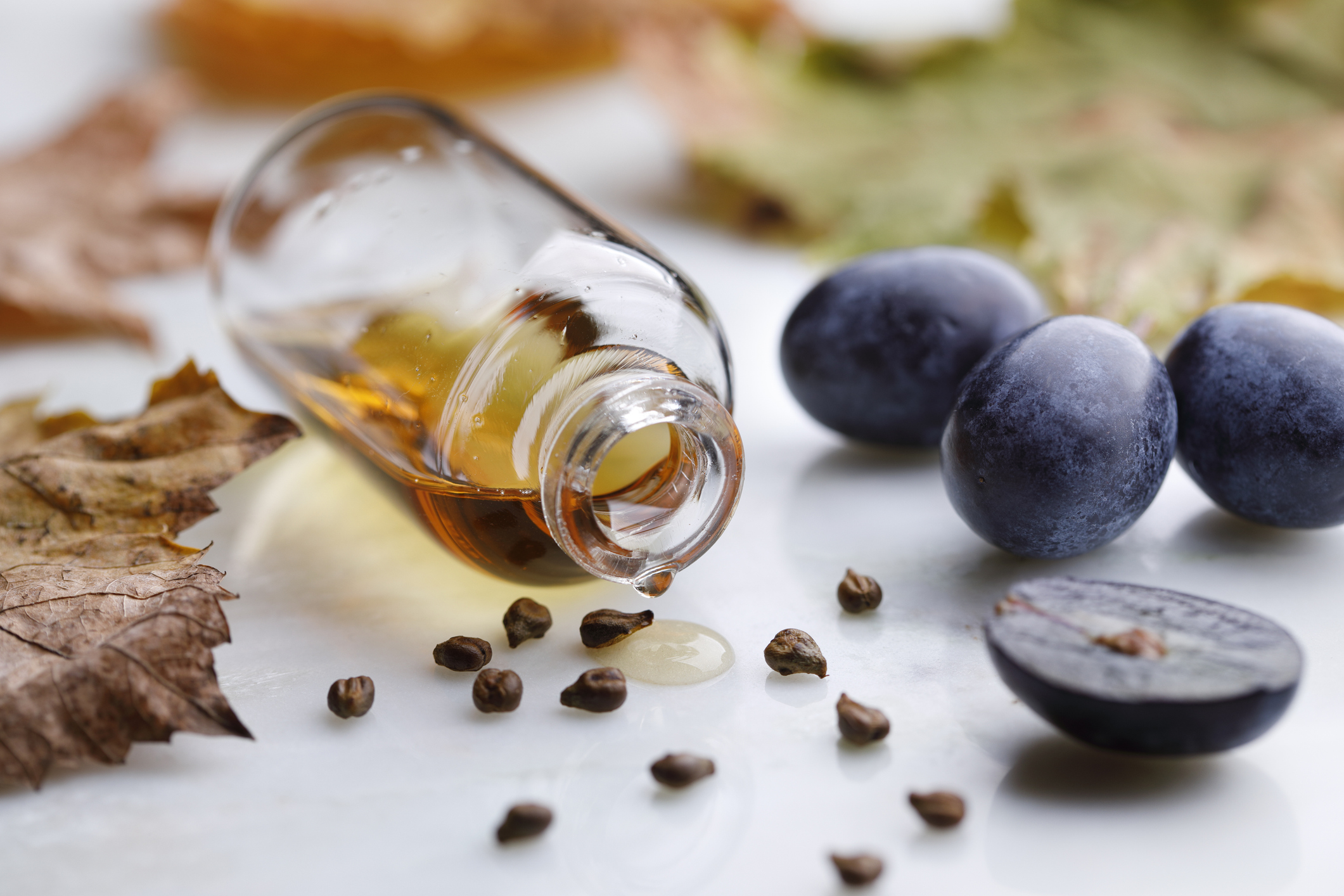 Grape Seed Extract Helps The Kidneys