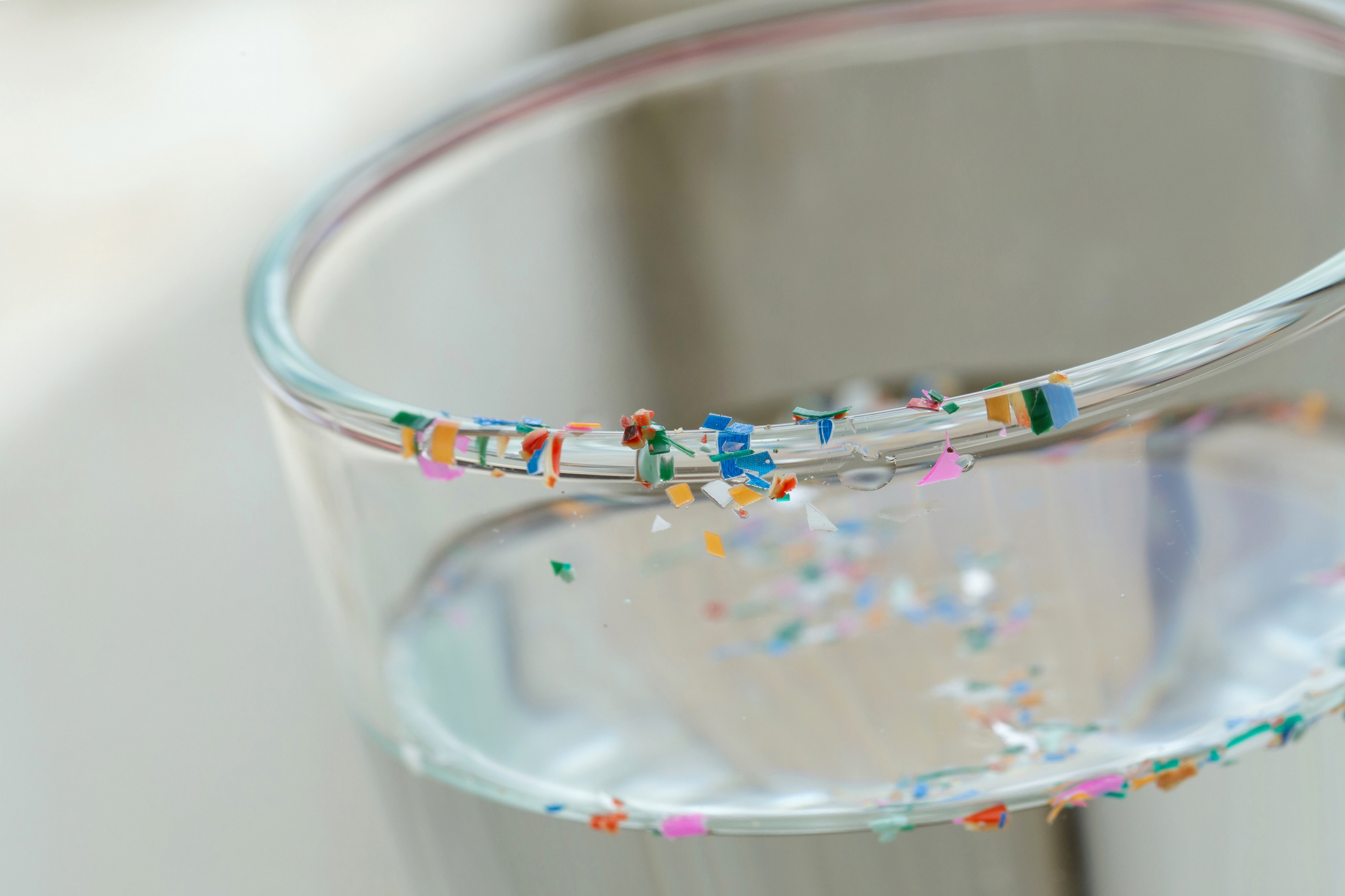 Microplastics: From your gut to your kidneys, liver and brain