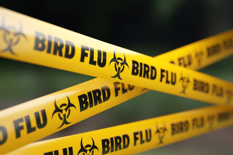 Here’s what we know about the first U.S. bird flu death