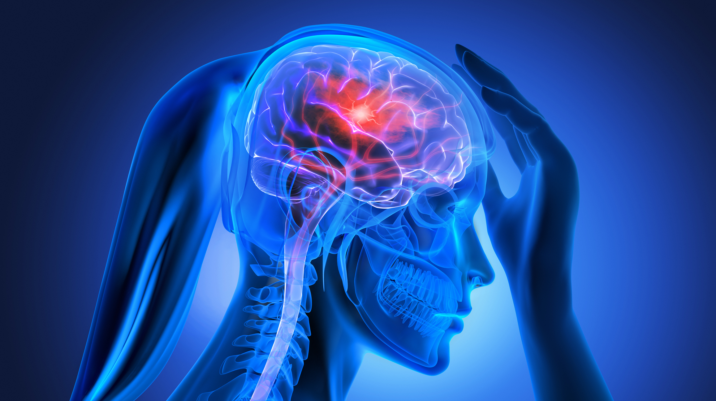 Low-cal sweetener linked to brain cell damage and blood clots