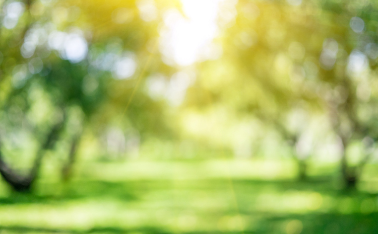 Natural light’s beneficial impact on blood sugar control