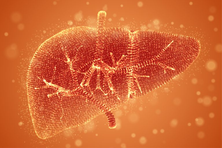 The metabolic link between microplastics and fatty liver