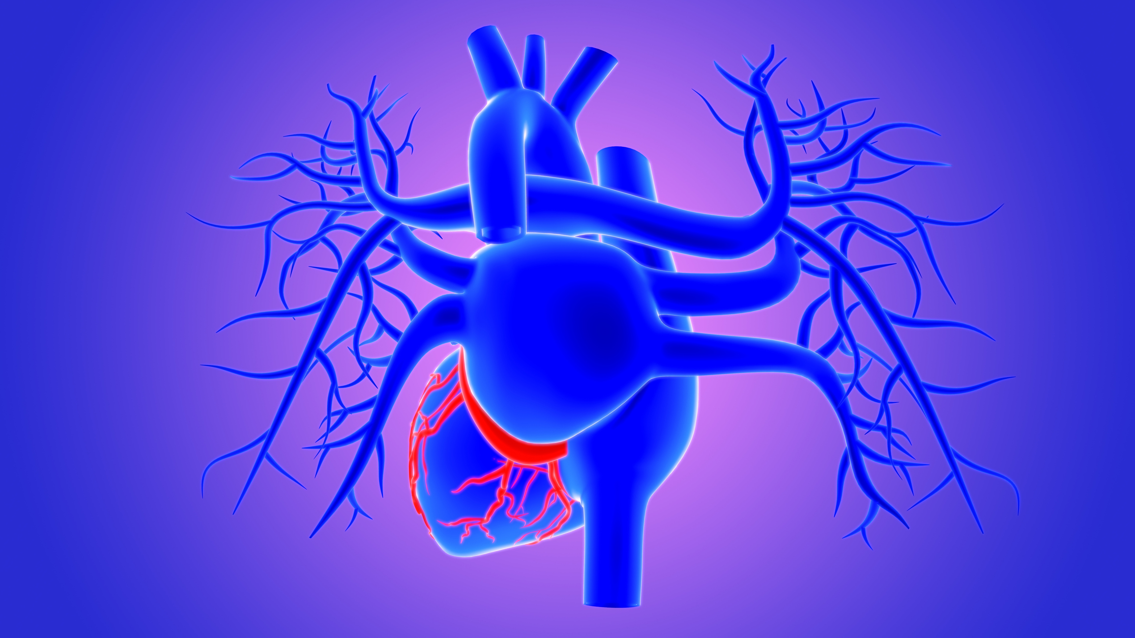 Why CoQ10 matters twice as much for  cardiovascular health