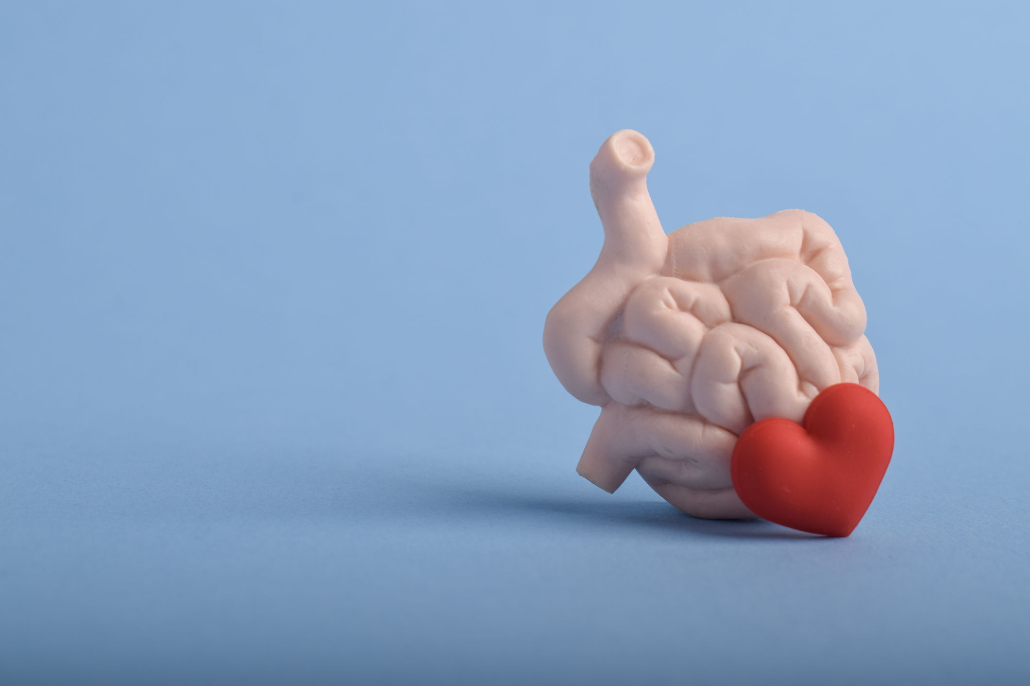 Gut bacteria, cholesterol and plaque: A surprising discovery